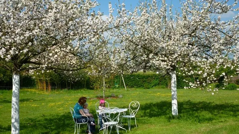 Gîtes de France® - Au Merle Moqueur