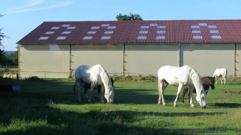 Le Manège à blé