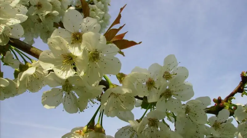 Gîtes de France® - Le Bûcher