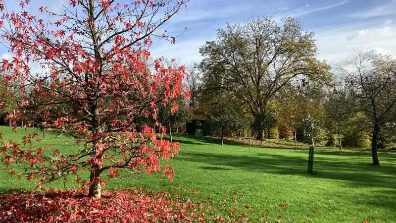 Gîtes de France® - Le Bûcher