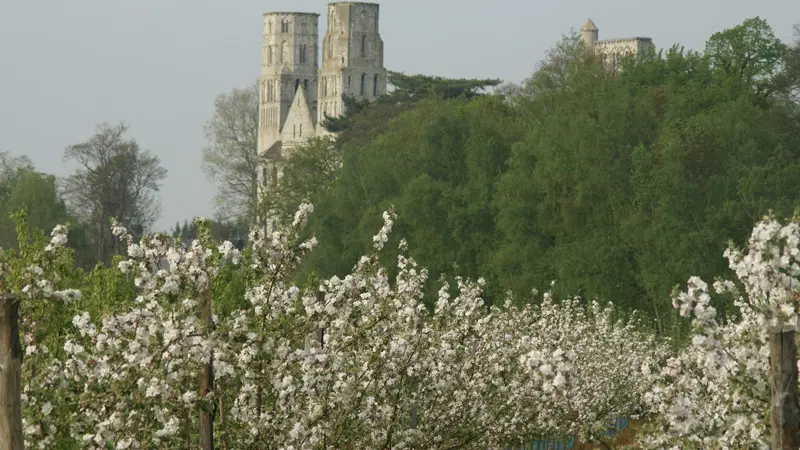 Gîtes de France® - Malo