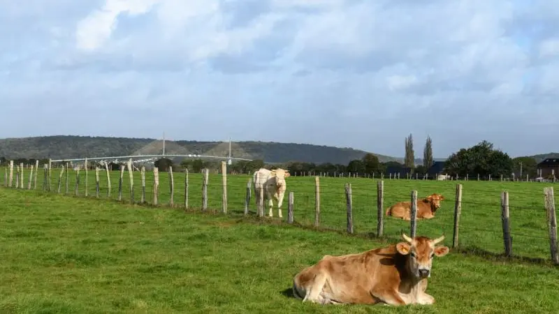 Gîtes de France® - Le Brotonne Seine