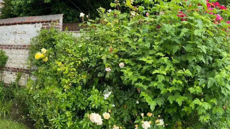 Gîtes de France® - La Maison du Passeur