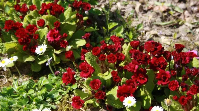 Gîtes de France® - Chateau de La Croix Blanche