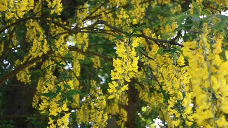 Gîtes de France® - Chateau de La Croix Blanche