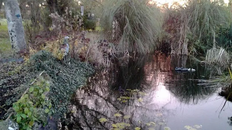 Le Gîte du  Marais