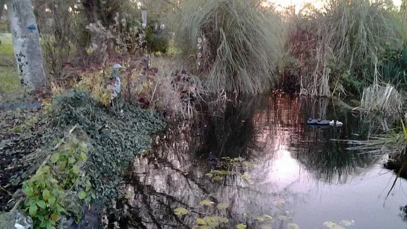 Gîtes de France® - Le Gîte du  Marais
