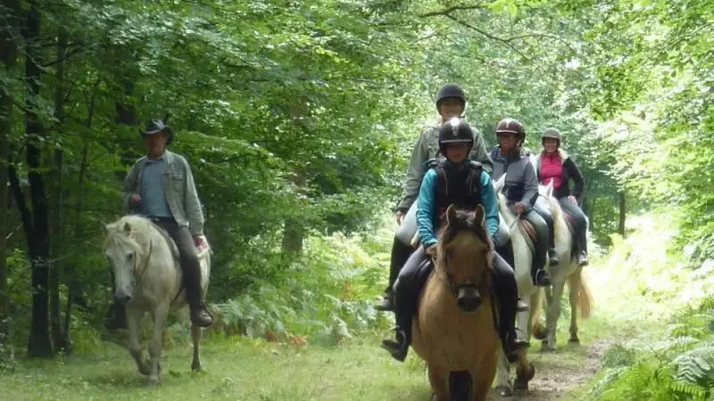 Gîtes de France® - Au Vieux Pressoir