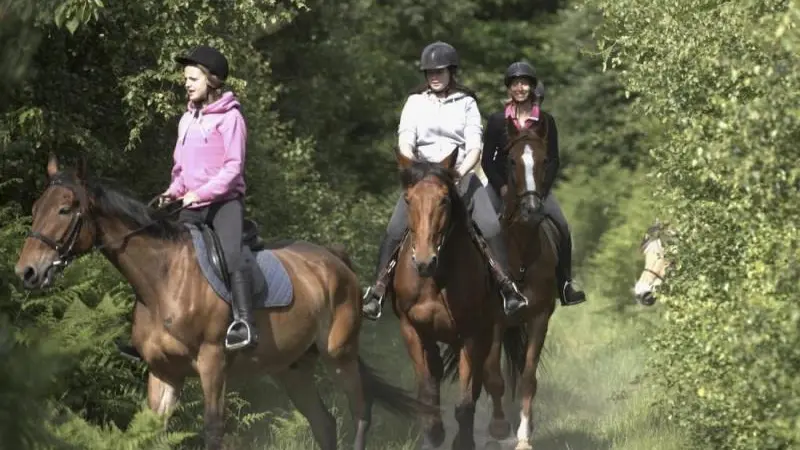 Gîtes de France® - Au Vieux Pressoir