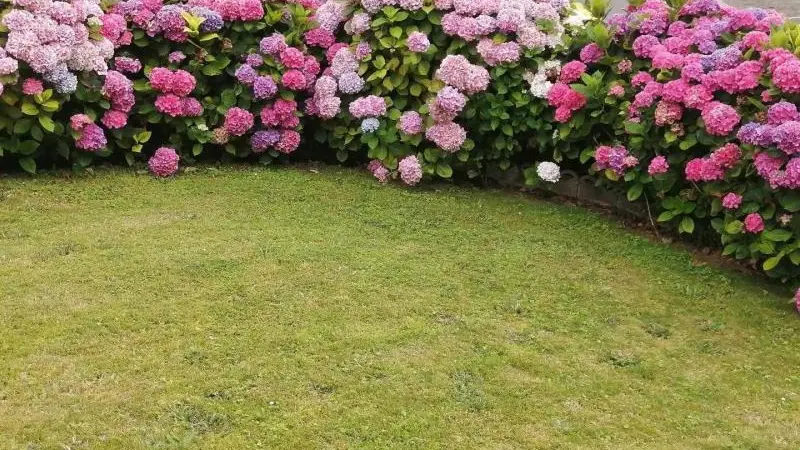 Gîtes de France® - Gîte  de la Forêt