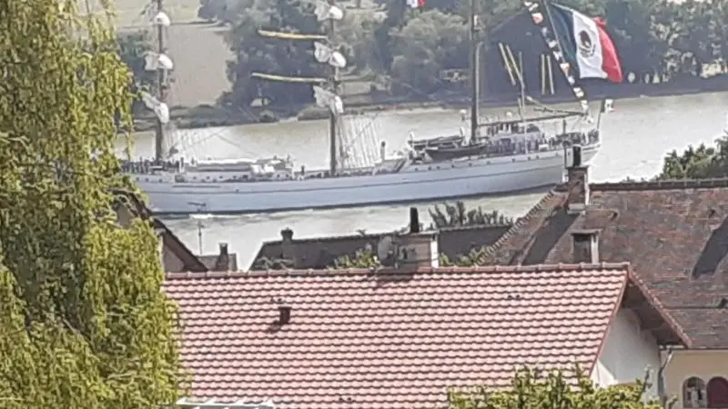 Gîtes de France® - Gîte  de la Forêt