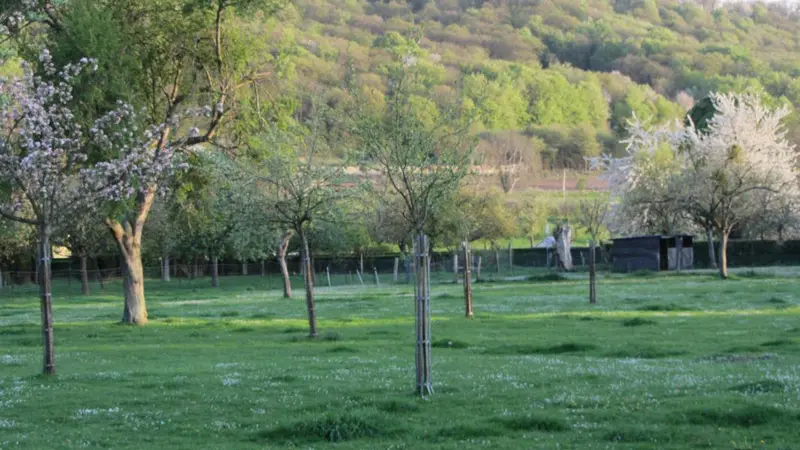 Le Gîte à Jules