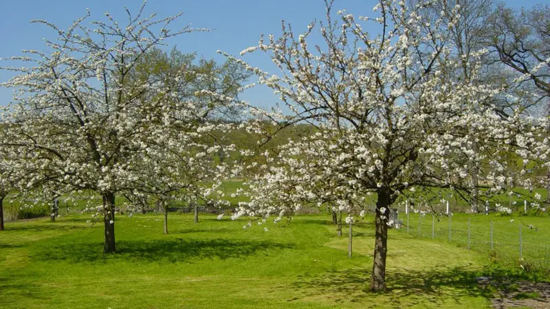 Gîtes de France® - Au Pas de L'ours