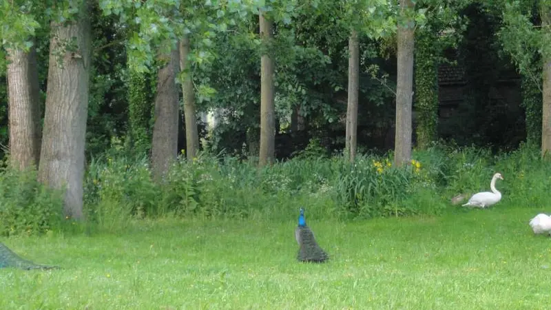 Gîtes de France® - Le Trèfle à Quatre Feuilles