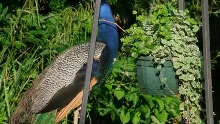 Gîtes de France® - Le Trèfle à Quatre Feuilles