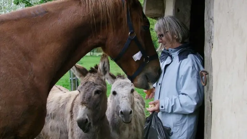 Gîtes de France® - Le Trèfle à Quatre Feuilles