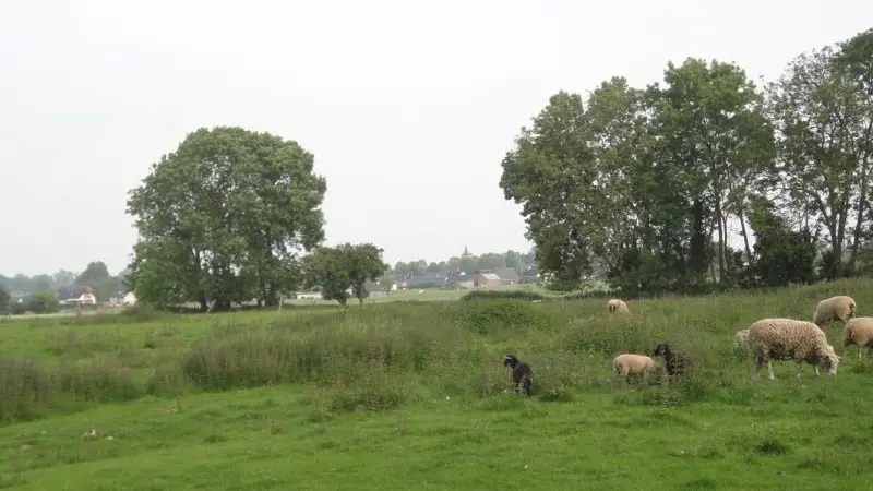 Gîtes de France® - Le Trèfle à Quatre Feuilles