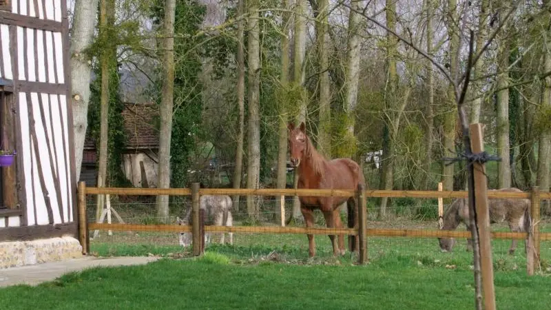 Le Trèfle à Quatre Feuilles