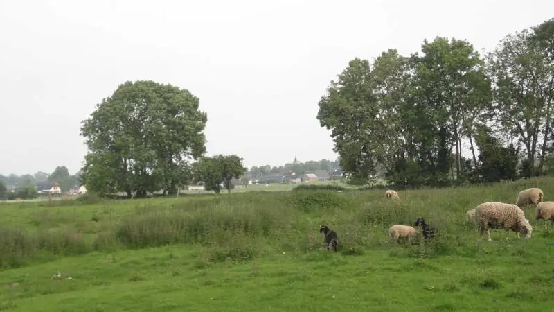 Gîtes de France® - Le Trèfle à Quatre Feuilles
