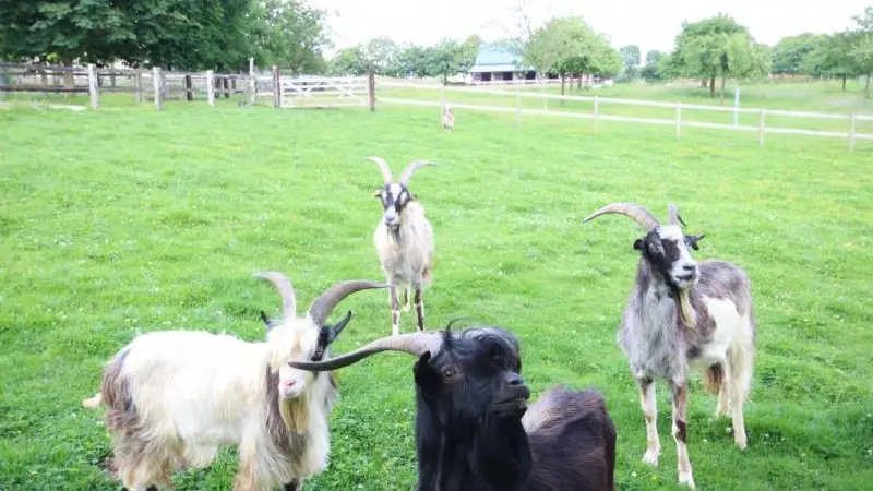 Gîtes de France® - L'Ancien Pressoir de Tancarbot