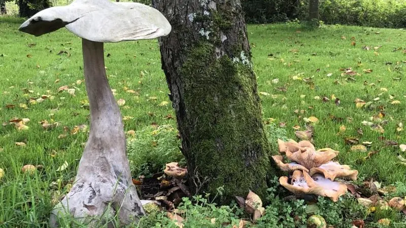 Gîtes de France® - La Graineterie