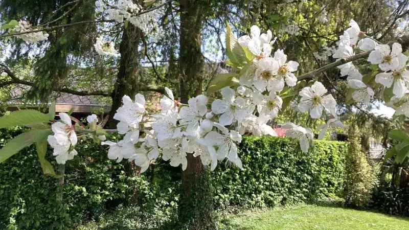 Gîtes de France® - La Graineterie