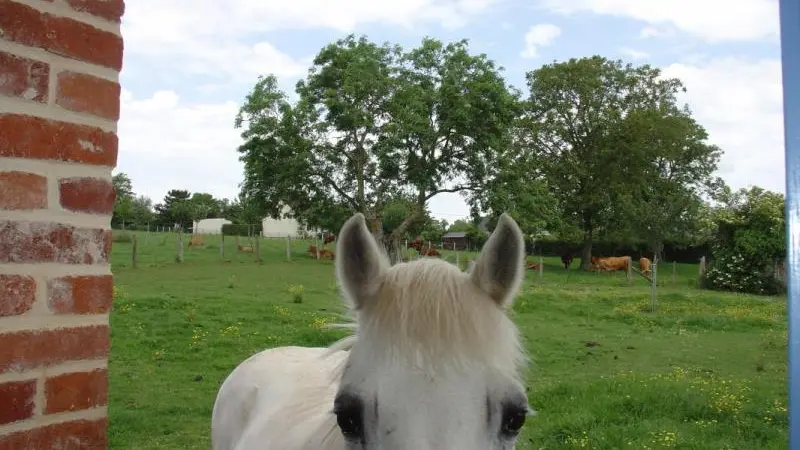 Gîtes de France® - Le Cabray