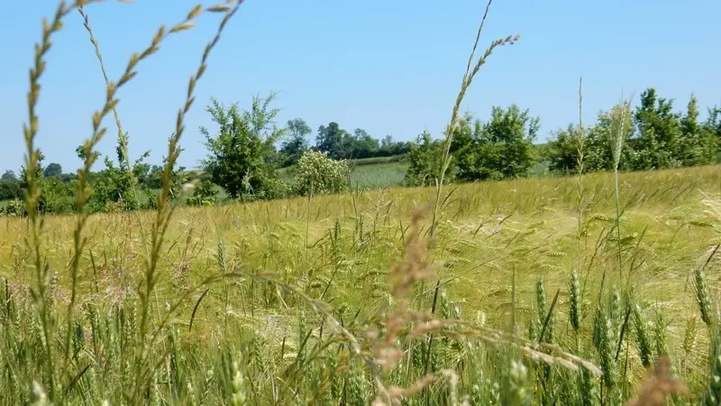 Gîtes de France® - Le Cabray