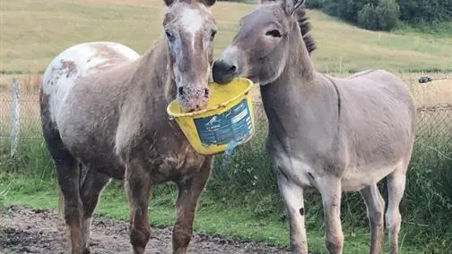 Gîtes de France® - Giteopré