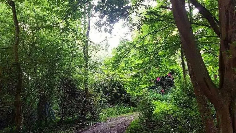 L'Orée d'Eawy