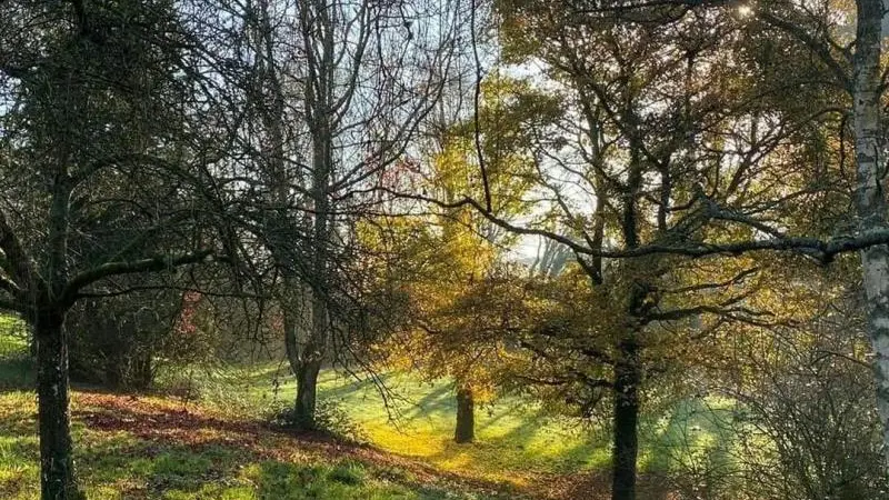 L'Orée d'Eawy