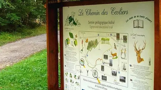 L'Orée d'Eawy