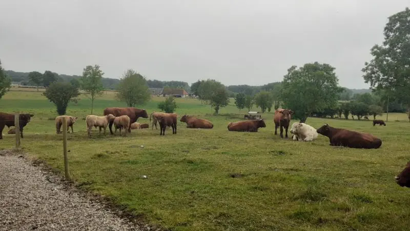 Gîtes de France® - Gîte de la Presle