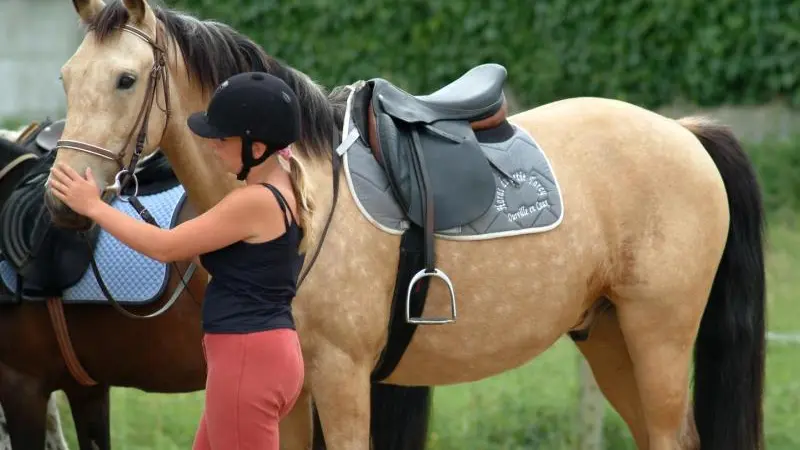 Gîtes de France® - Le Gardian