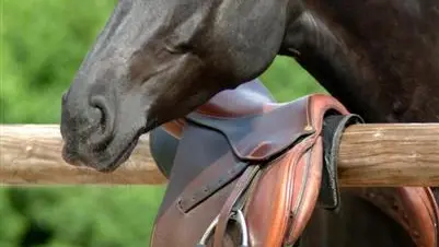 Gîtes de France® - Le Gardian