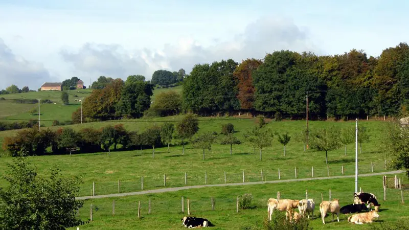 Gîtes de France® - Le Tilleul