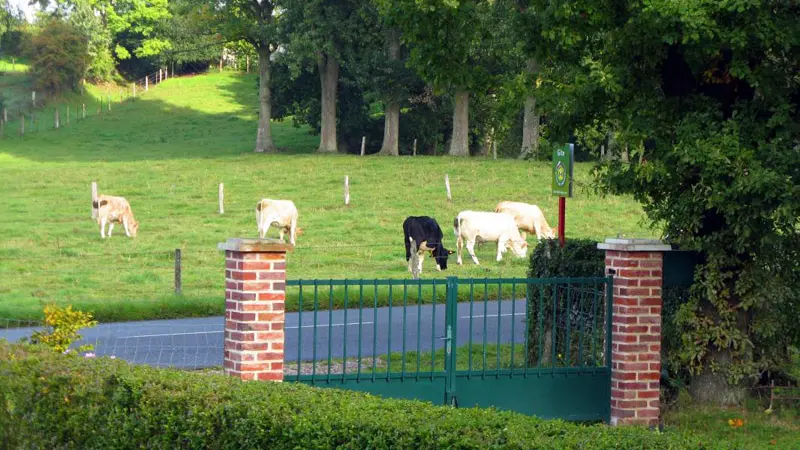 Gîtes de France® - Le Tilleul