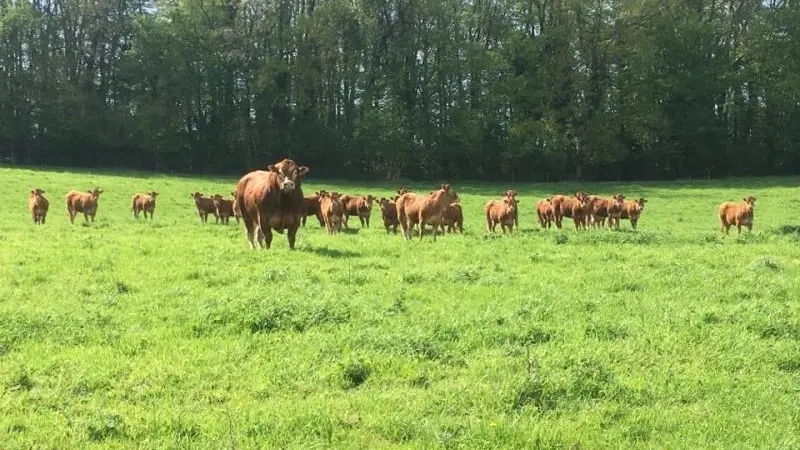 La Roulotte du Moulin de Rebets