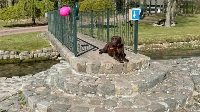 La Roulotte du Moulin de Rebets