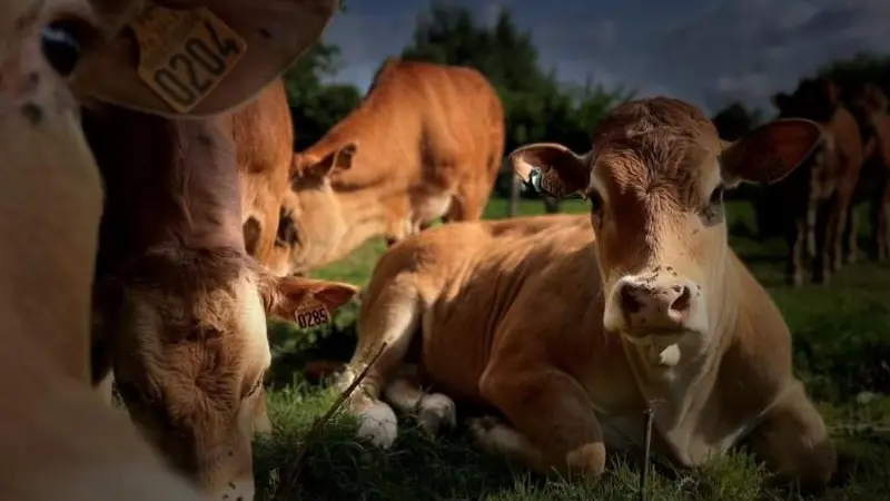 La Roulotte du Moulin de Rebets