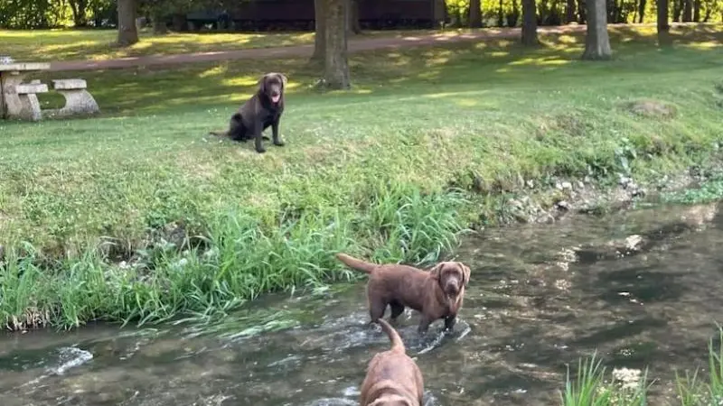 La Roulotte du Moulin de Rebets