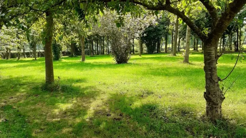 L' Hirondelle