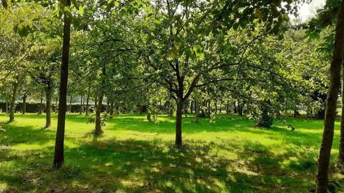 Gîtes de France® - L' Hirondelle