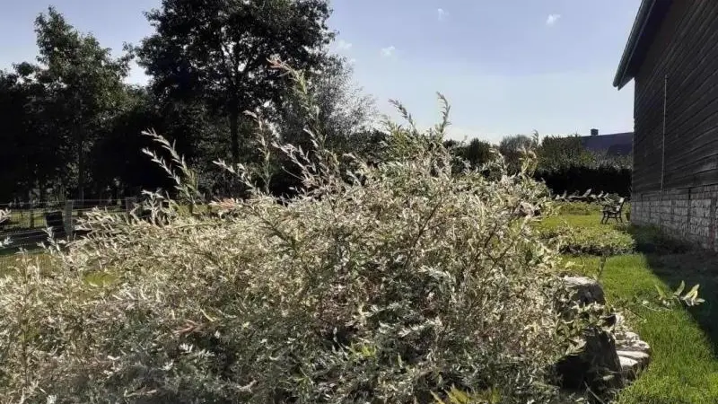 Gîtes de France® - L' Hirondelle