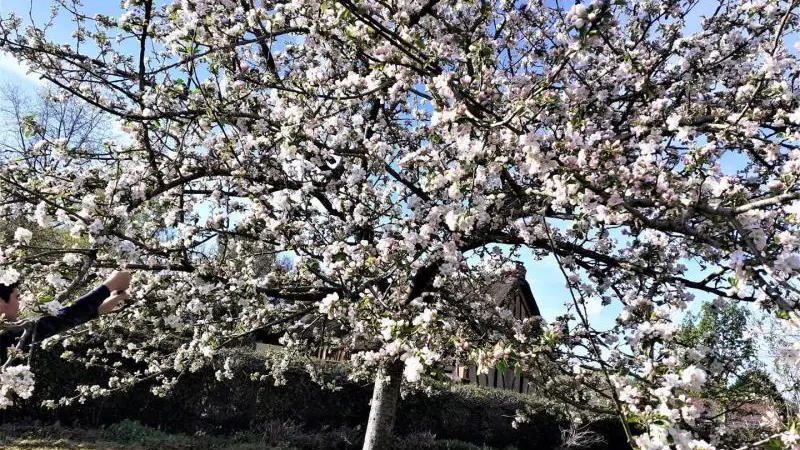 Gîtes de France® - L' Hirondelle