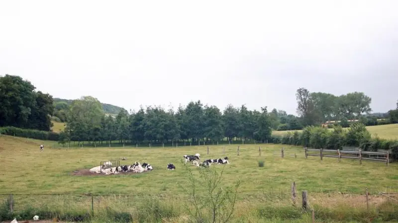 Les Ecuries du Mesnil aux Moines