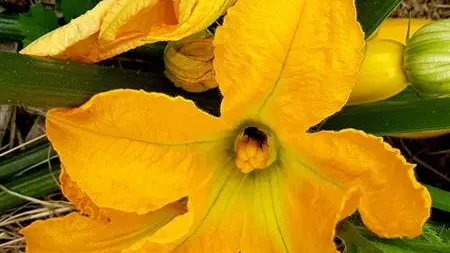 Les Ecuries du Mesnil aux Moines