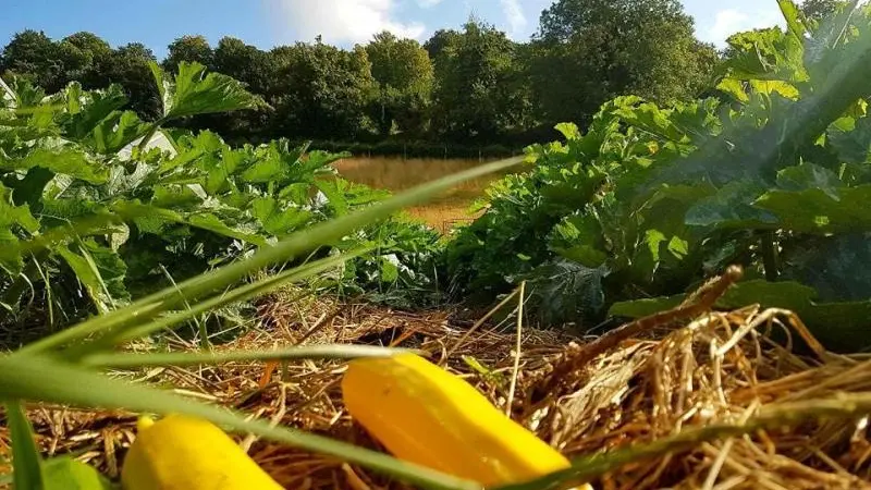 Les Ecuries du Mesnil aux Moines