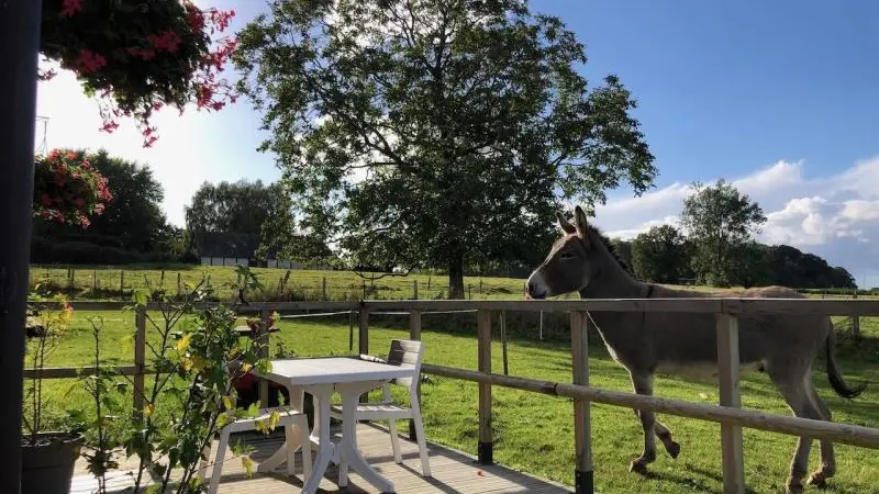 Gîtes de France® - Le Petit Giteopré