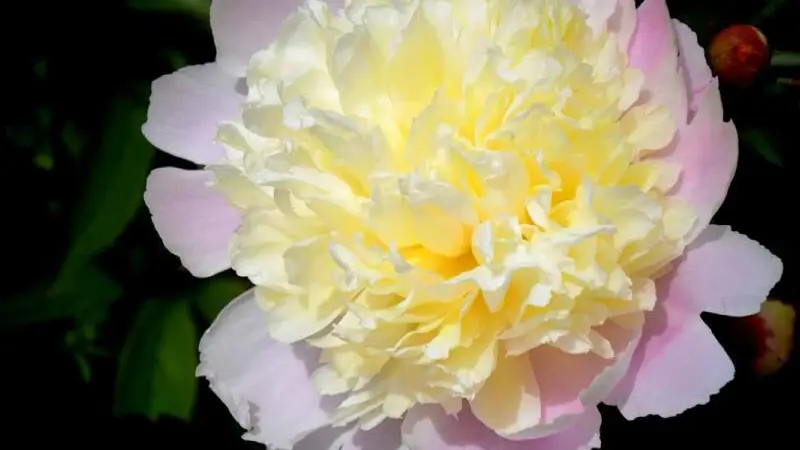 Gîtes de France® - Gîte du  Vallon doré